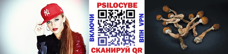 Псилоцибиновые грибы Magic Shrooms  Нарткала 