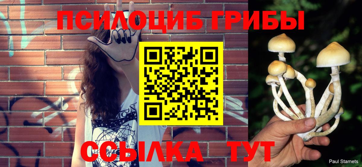 Нарткала  Галлюциногенные грибы Psilocybe  Вход с VPN  где продают   Галлюциногенные грибы прущие грибы 